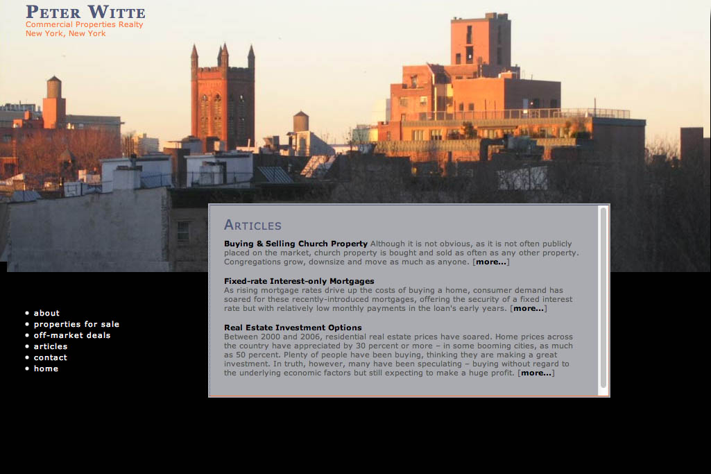 web design for a real estate consultant - articles page