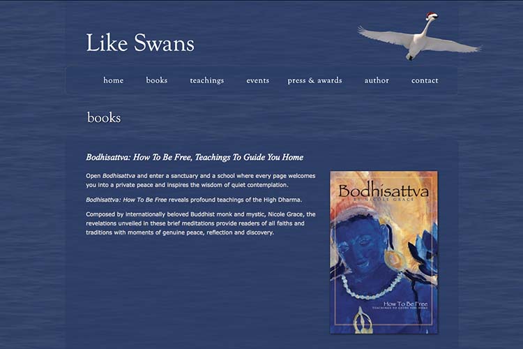 website design for a book author - single book page