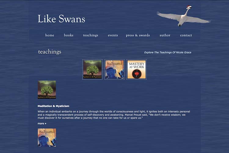 website design for a book author - teachings page