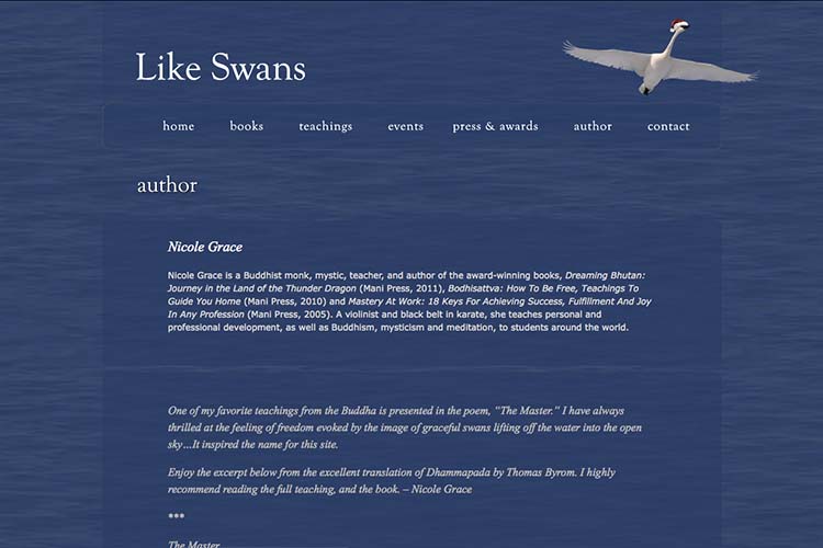 website design for a book author - about the author page