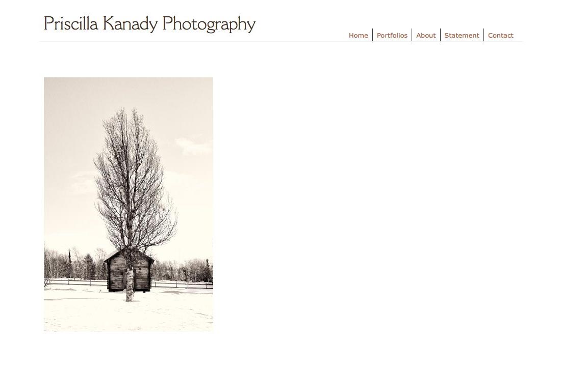web design for a photographic artist