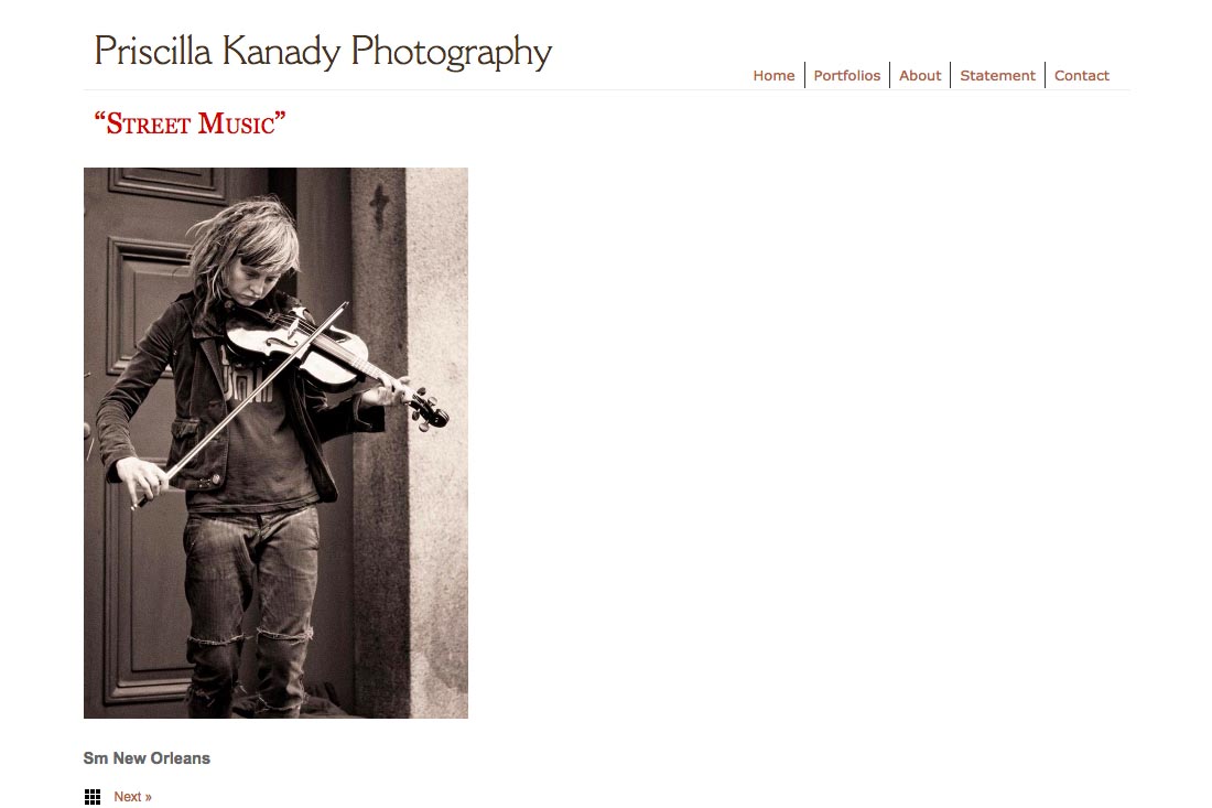 web design for a photographic artist - portfolios single photo page