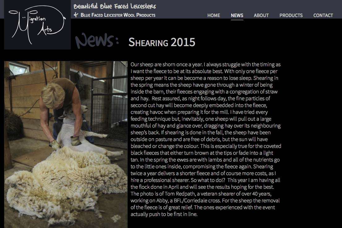 web design for a luxury wool products business - news single article page
