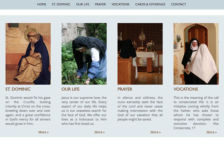 web design for a non-profit organization - home page excerpts