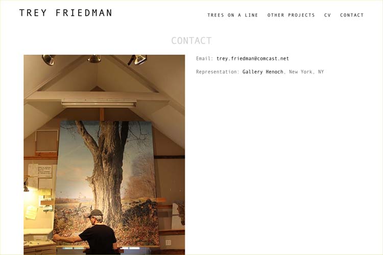 Web design for an artist - contact the artist page