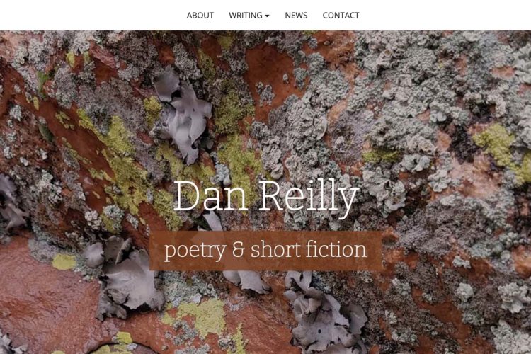 website design for a writer - homepage