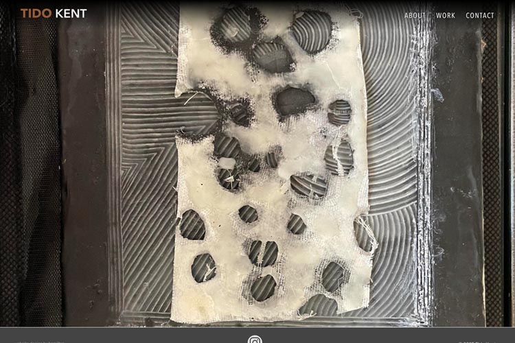 website design for an artist