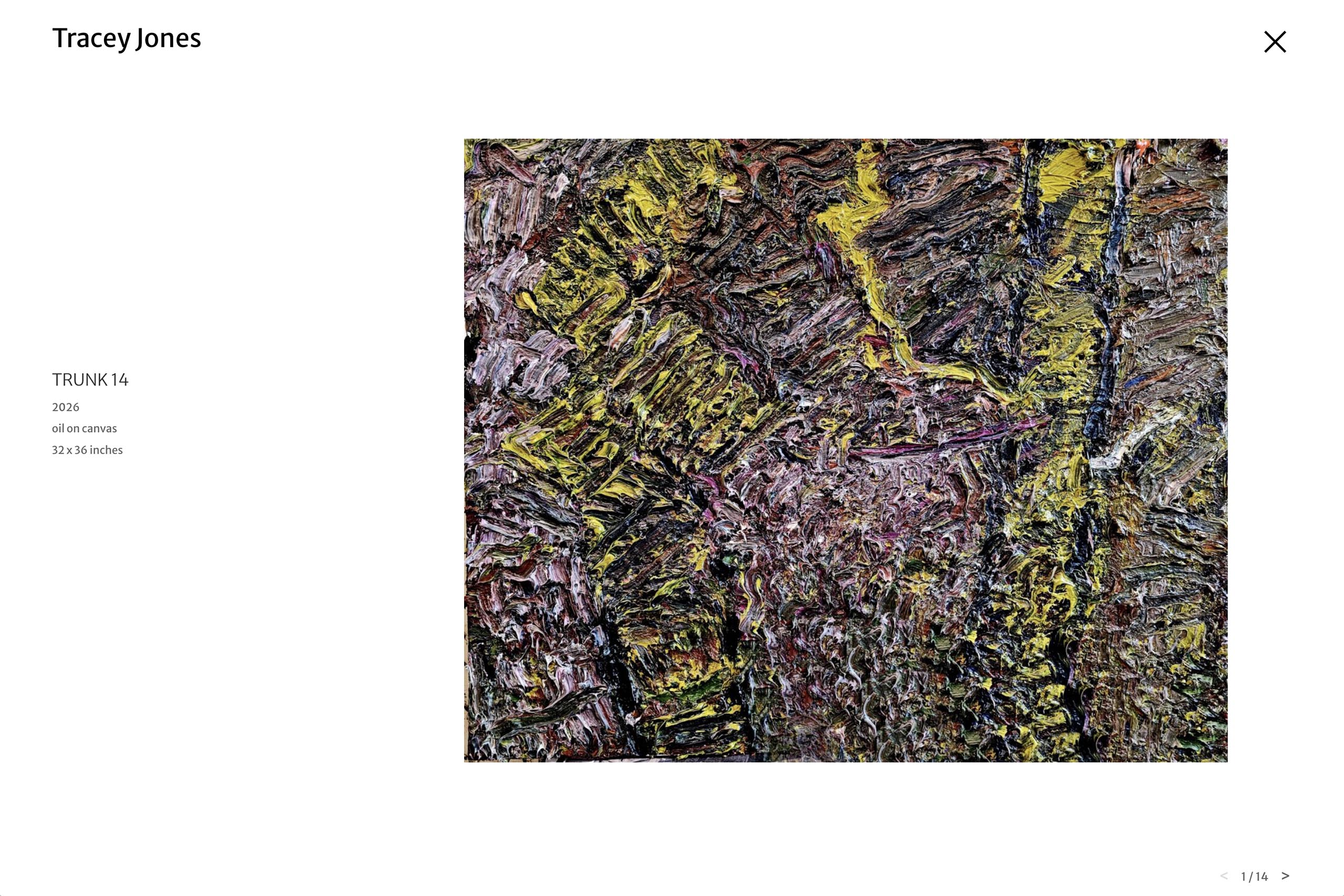 website design for an american abstract artist (tj) - work single page